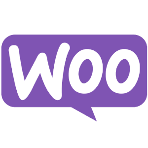 WordPress WooCommerce Design